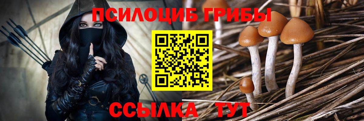 Асбест  Псилоцибиновые грибы ЛСД  Вход с VPN 